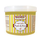 Soft Sugar Paste Honey and Propolis 1.65 LB / 750 G